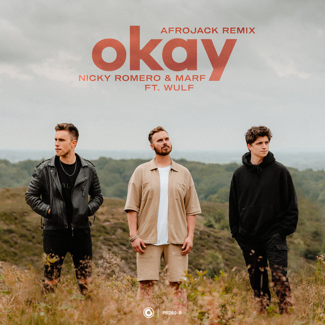 کاور آهنگ Okay - Afrojack Remix از AFROJACK, Nicky Romero