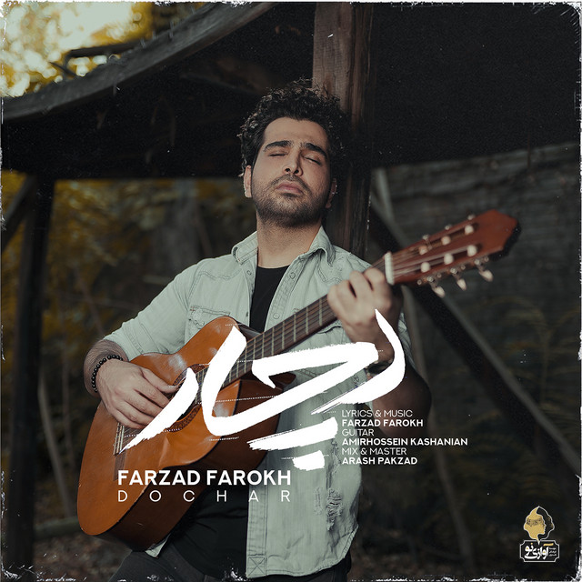 کاور آهنگ دوچار از فرزاد فرخ