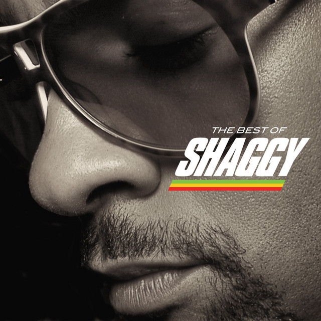 کاور آهنگ Why You Treat Me So Bad از Shaggy