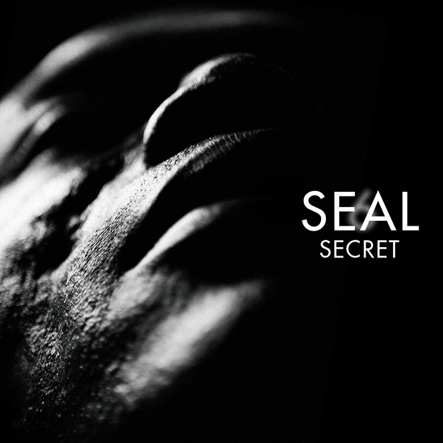 کاور آهنگ If I Could Ever Make You Love Me از Seal