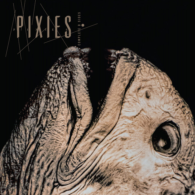 کاور آهنگ Planet of Sound - Live - 2026 Remaster از Pixies