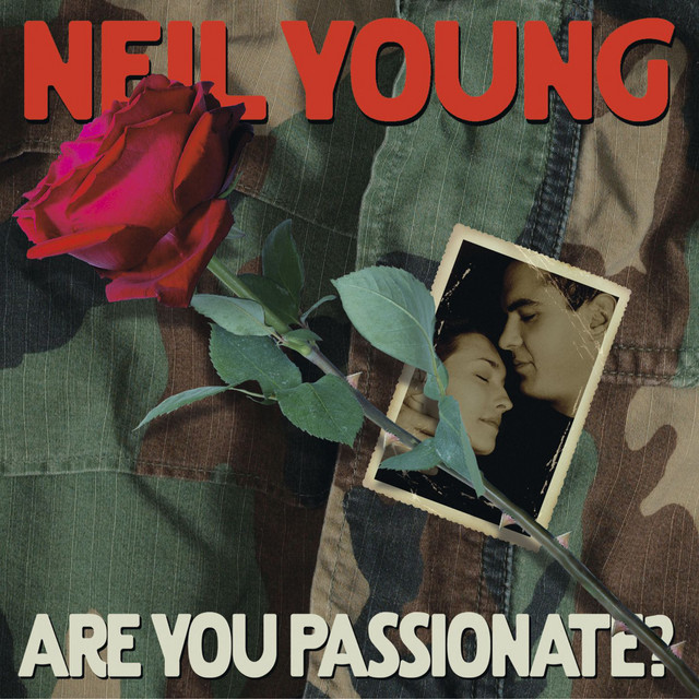 کاور آهنگ She's a Healer از Neil Young