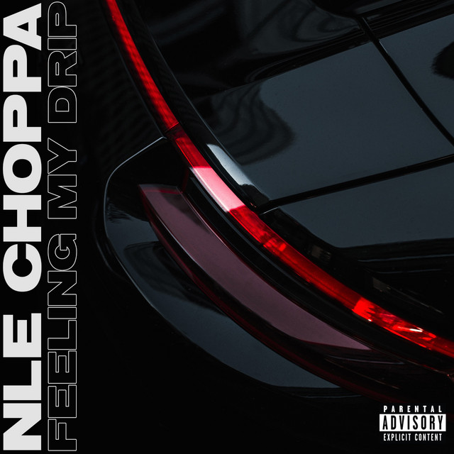 کاور آهنگ Feeling My Drip از NLE Choppa
