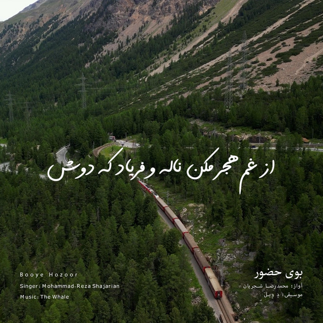 کاور آهنگ بوی حضور - بازآفرینی اثر محمدرضا شجریان از دِ وِیل