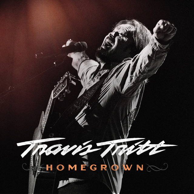 کاور آهنگ It’s A Great Day to Be Alive از Travis Tritt