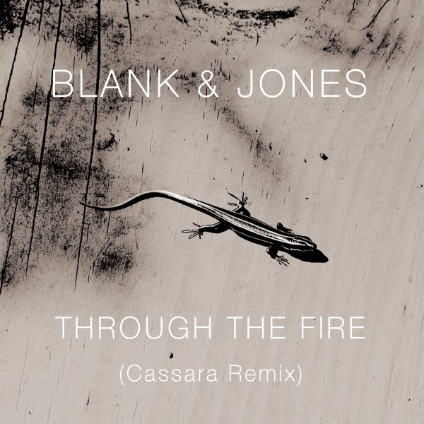 کاور آهنگ The Wire - Cassara Remix Instrumental از Blank & Jones, Cassara