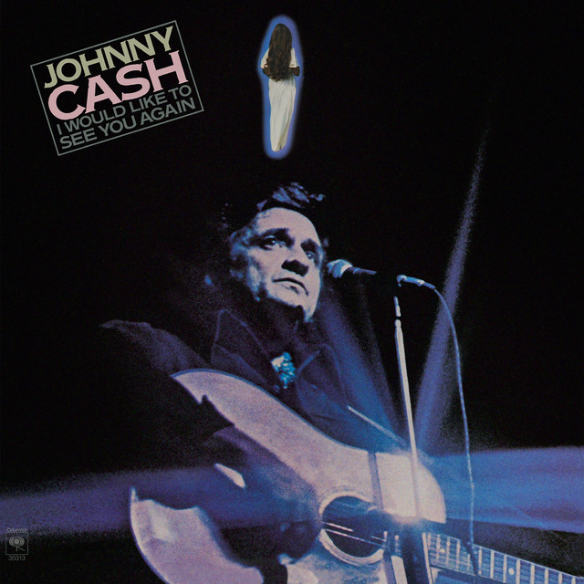 کاور آهنگ I Don't Think I Could Take You Back Again از Johnny Cash