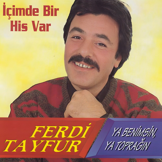 کاور آهنگ İçimde Bir His Var از Ferdi Tayfur