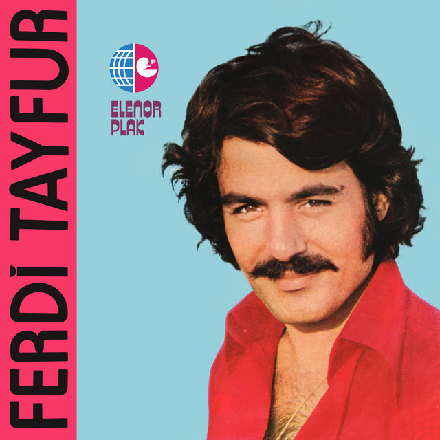 کاور آهنگ Benim Gibi Sevenler از Ferdi Tayfur
