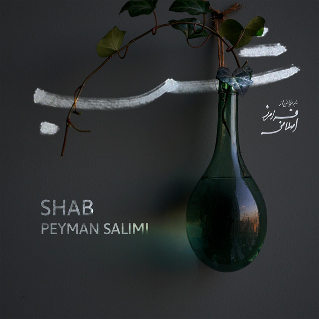 کاور آهنگ شب از پیمان سلیمی