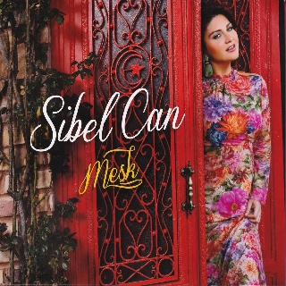 کاور آهنگ Kaybolan Baharim از Sibel Can