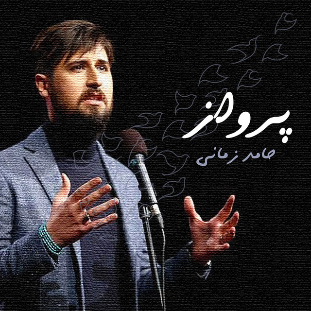 کاور آهنگ پرواز از حامد زمانی
