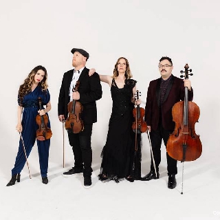 کاور آهنگ Gonna Leave You از Vitamin String Quartet