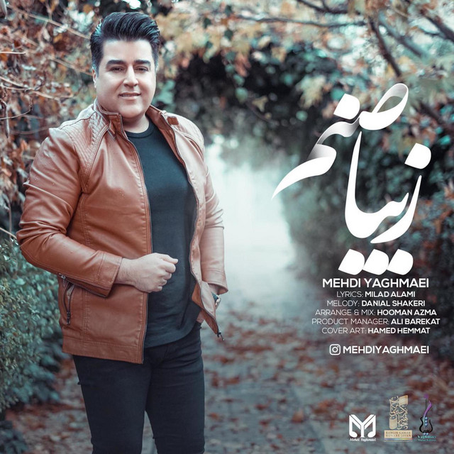 کاور آهنگ زیبا صنم از مهدی یغمایی