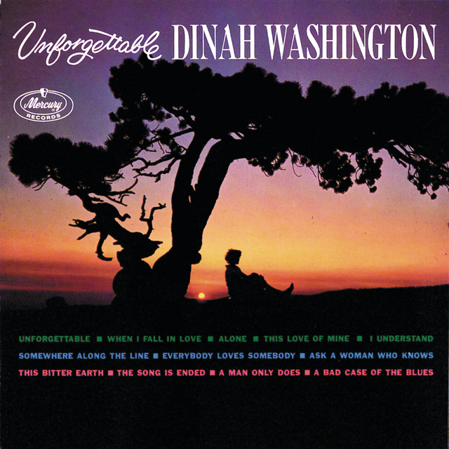 کاور آهنگ Everybody Loves Somebody از Dinah Washington