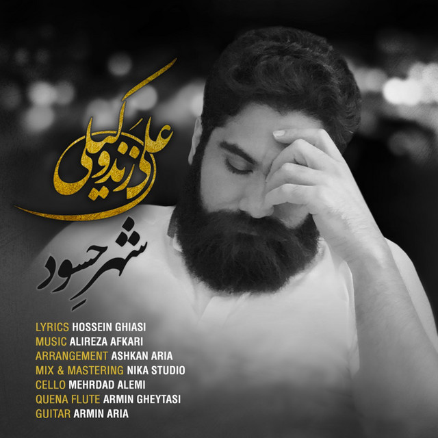 کاور آهنگ شهر حسود از علی زندوکیلی