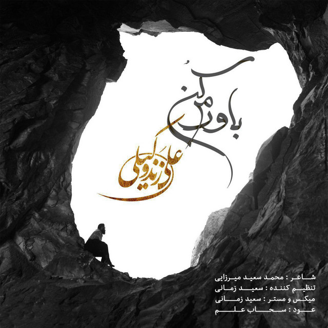 کاور آهنگ باورم کن از علی زندوکیلی