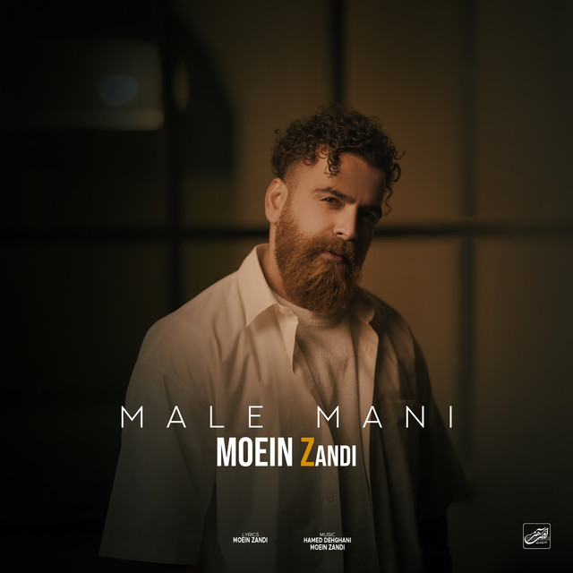 کاور آهنگ مال منی از معین زد