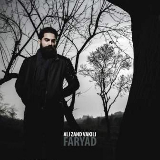 کاور آهنگ فریاد از علی زندوکیلی