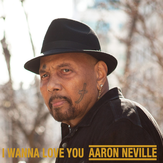 کاور آهنگ I Wanna Love You از Aaron Neville