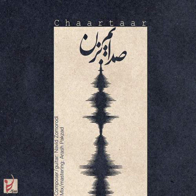 کاور آهنگ صدایم بزن از چارتار