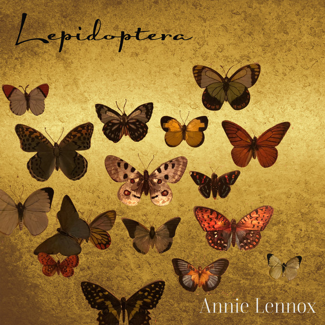 کاور آهنگ Hesperiidae از Annie Lennox