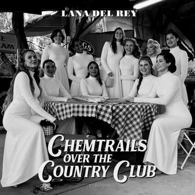 کاور آهنگ Dance Till We Die از Lana Del Rey