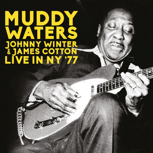 کاور آهنگ Anna Lee / Band Introductions - Live از Muddy Waters, Johnny Winter, James Cotton