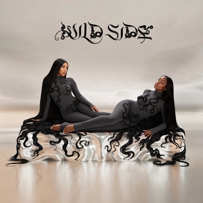 کاور آهنگ Wild Side (feat. Cardi B) از Cardi B, Normani