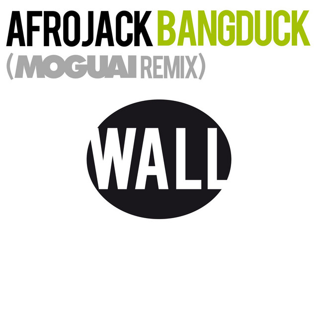 کاور آهنگ Bangduck - Moguai Remix از AFROJACK