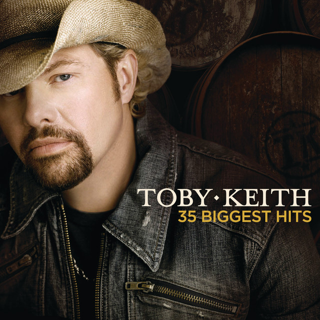 کاور آهنگ He Ain't Worth Missing از Toby Keith