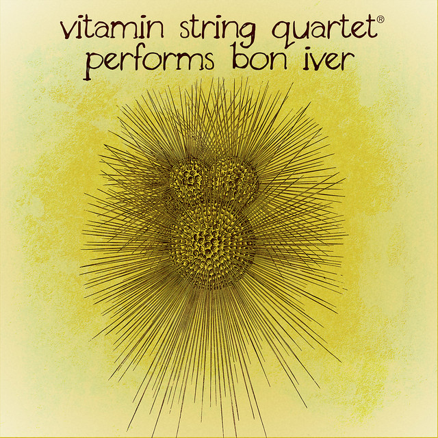 کاور آهنگ Holocene از Vitamin String Quartet