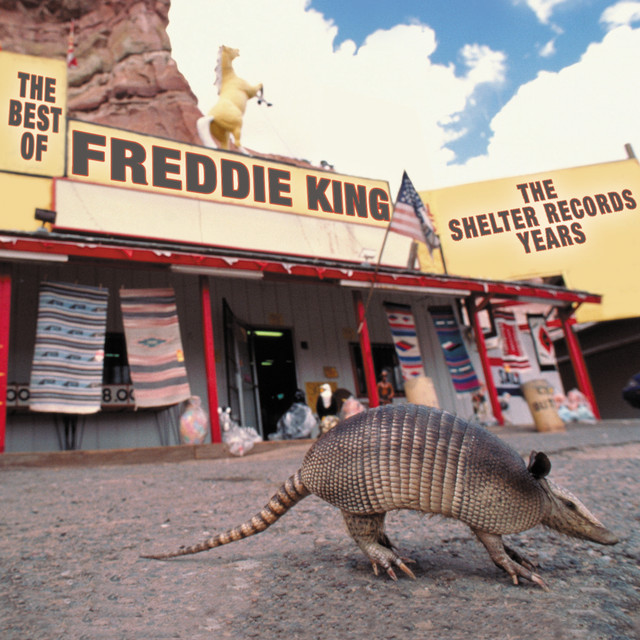کاور آهنگ I'm Ready - Remastered از Freddie King