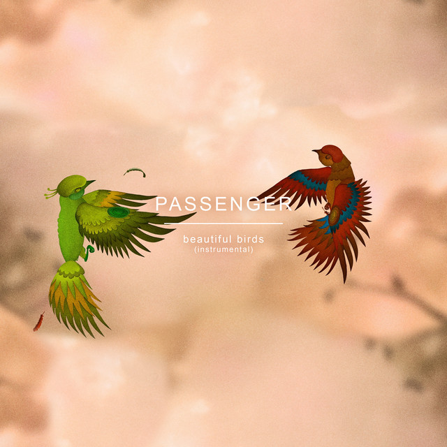 کاور آهنگ Beautiful Birds - Instrumental از Passenger