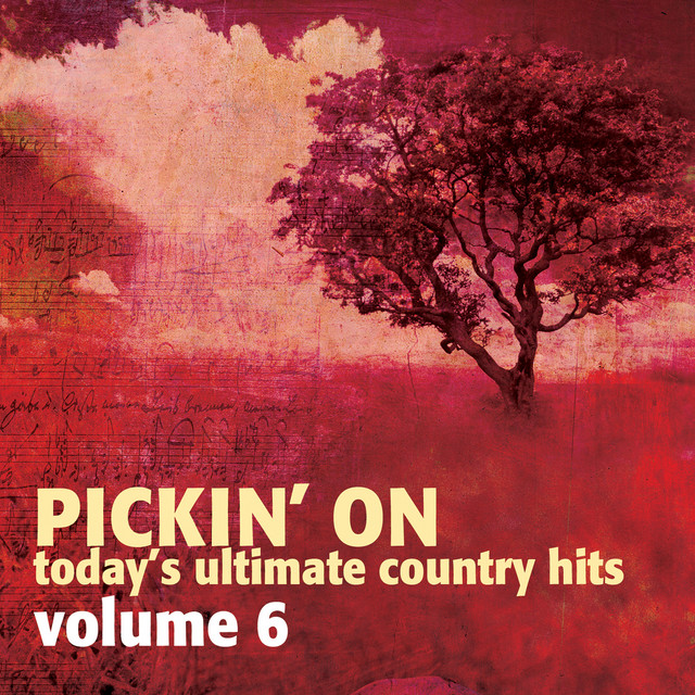 کاور آهنگ Every Day از Pickin' On Series