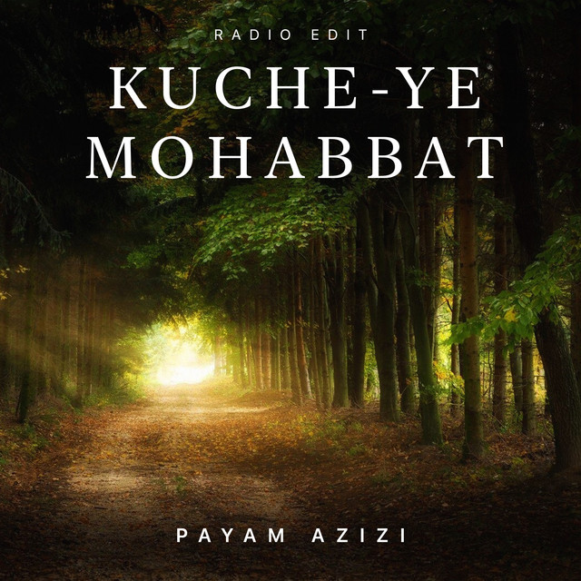 کاور آهنگ کوچهٔ محبت (نسخهٔ رادیویی) از پیام عزیزی