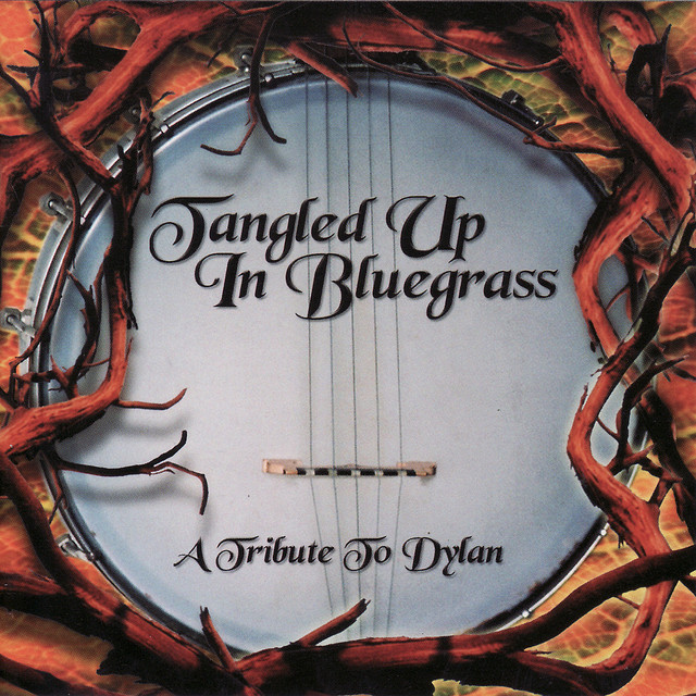 کاور آهنگ Blowin' In The Wind از Pickin' On Series