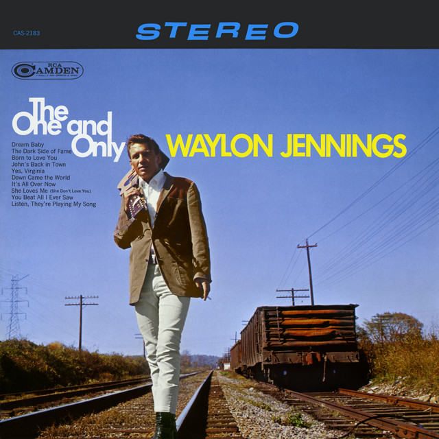 کاور آهنگ She Loves Me (She Don't Love You) از Waylon Jennings