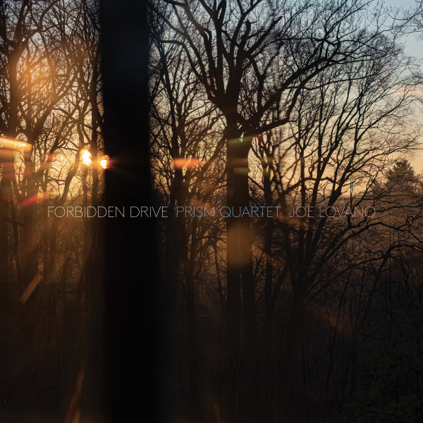 کاور آهنگ Forbidden Drive از Joe Lovano