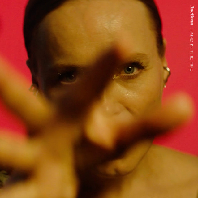 کاور آهنگ Hand In The Fire - Radio Edit از Ane Brun