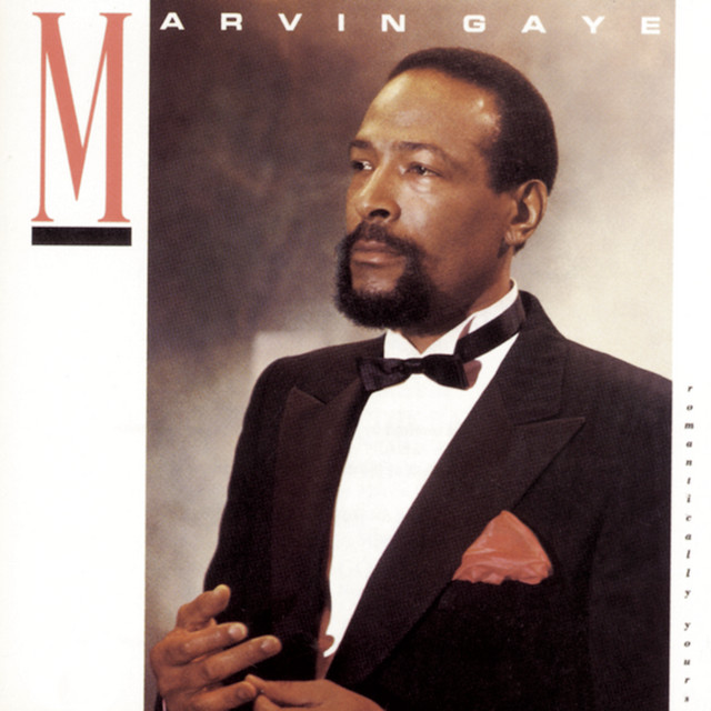 کاور آهنگ Why Did I Choose You? از Marvin Gaye