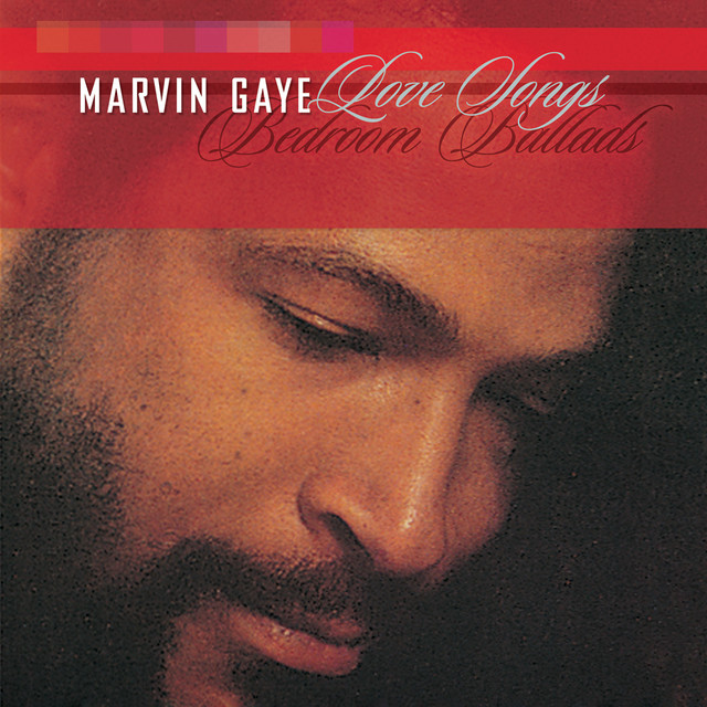 کاور آهنگ This Will Make You Laugh از Marvin Gaye