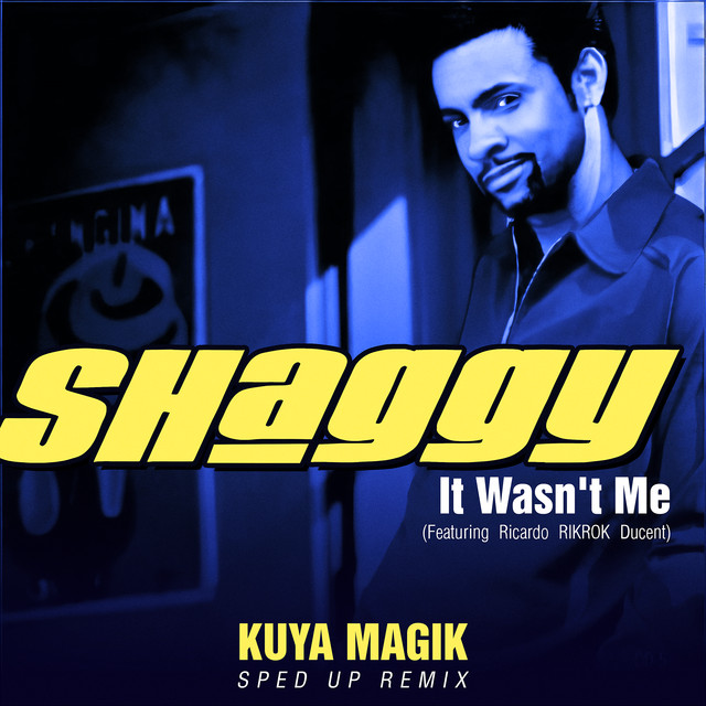 کاور آهنگ It Wasn't Me - Sped Up از Shaggy, Speed Radio, Kuya Magik