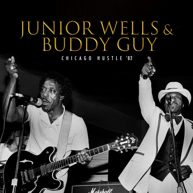 کاور آهنگ Crosscut Saw - Live از Junior Wells, Buddy Guy
