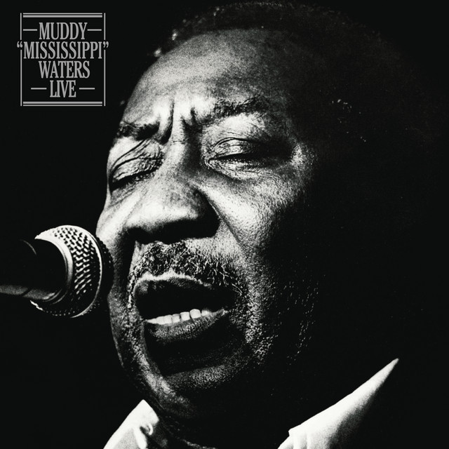 کاور آهنگ Corrina, Corrina - Live از Muddy Waters