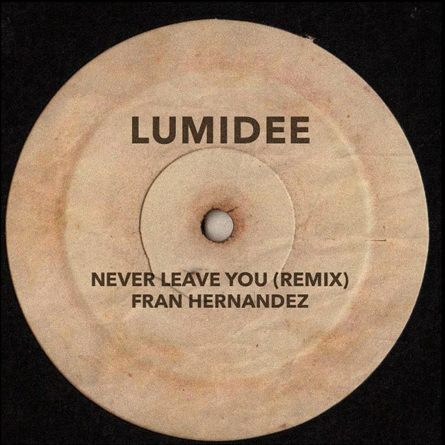 کاور آهنگ Never Leave You (Remix) از Lumidee