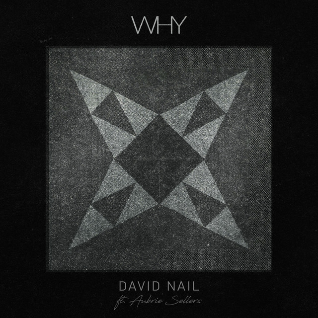کاور آهنگ Why از David Nail