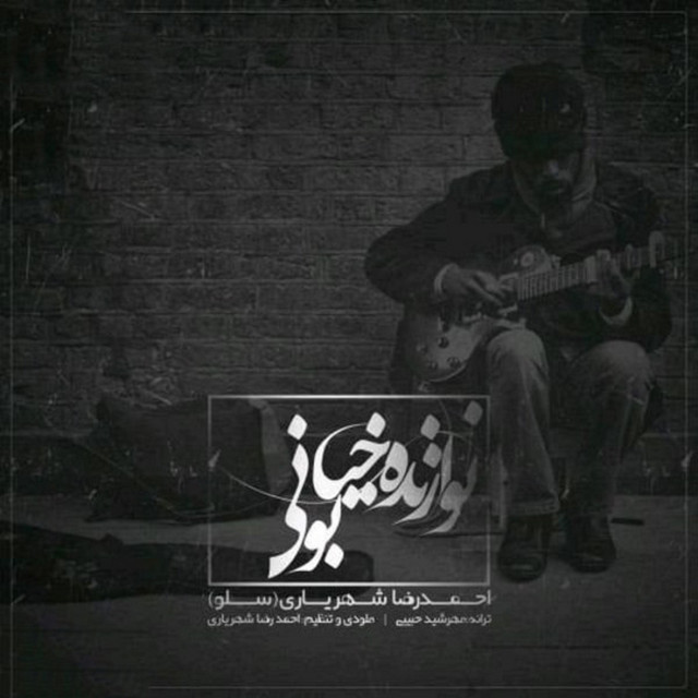 کاور آهنگ نوازندهٔ خیابونی از احمد سلو