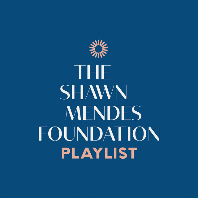 کاور آهنگ Treat You Better از Shawn Mendes