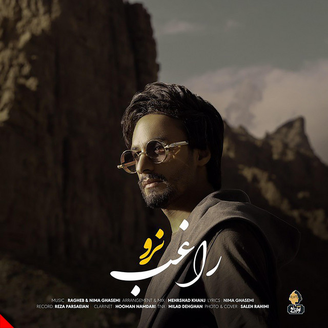 کاور آهنگ نرو از راغب
